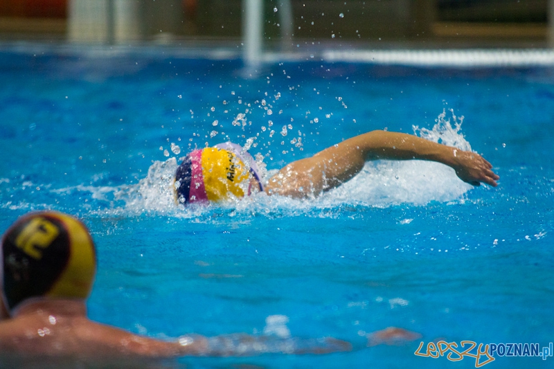 KS Waterpolo Poznań - UKPW Warszawa - Termy Maltańskie 13.01.2012 r. Foto: lepszyPOZNAN.pl / Piotr Rychter KS Waterpolo Poznań - UKPW Warszawa - Termy Maltańskie 13.01.2012 r. Foto: lepszyPOZNAN.pl / Piotr Rychter