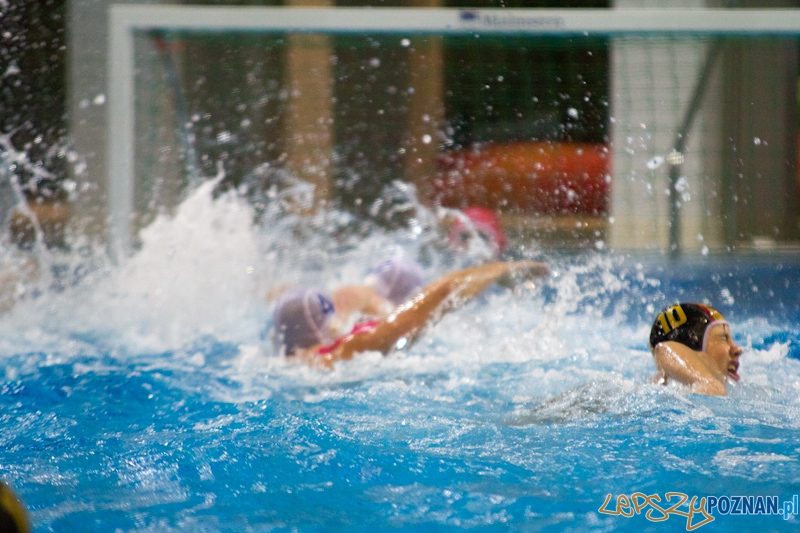 KS Waterpolo Poznań - UKPW Warszawa - Termy Maltańskie 13.01.2012 r. Foto: lepszyPOZNAN.pl / Piotr Rychter KS Waterpolo Poznań - UKPW Warszawa - Termy Maltańskie 13.01.2012 r. Foto: lepszyPOZNAN.pl / Piotr Rychter