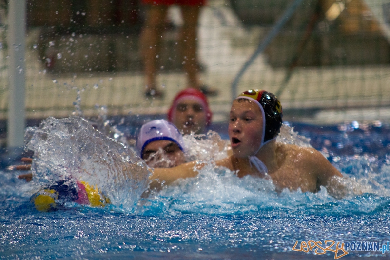 KS Waterpolo Poznań - UKPW Warszawa - Termy Maltańskie 13.01.2012 r. Foto: lepszyPOZNAN.pl / Piotr Rychter KS Waterpolo Poznań - UKPW Warszawa - Termy Maltańskie 13.01.2012 r. Foto: lepszyPOZNAN.pl / Piotr Rychter