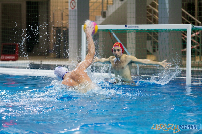 KS Waterpolo Poznań - UKPW Warszawa - Termy Maltańskie 13.01.2012 r. Foto: lepszyPOZNAN.pl / Piotr Rychter KS Waterpolo Poznań - UKPW Warszawa - Termy Maltańskie 13.01.2012 r. Foto: lepszyPOZNAN.pl / Piotr Rychter