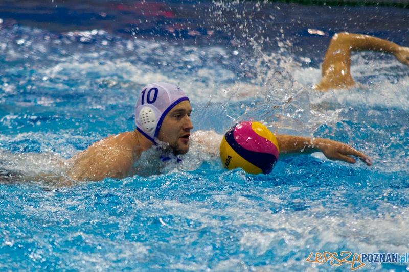 KS Waterpolo Poznań - UKPW Warszawa - Termy Maltańskie 13.01.2012 r. Foto: lepszyPOZNAN.pl / Piotr Rychter KS Waterpolo Poznań - UKPW Warszawa - Termy Maltańskie 13.01.2012 r. Foto: lepszyPOZNAN.pl / Piotr Rychter