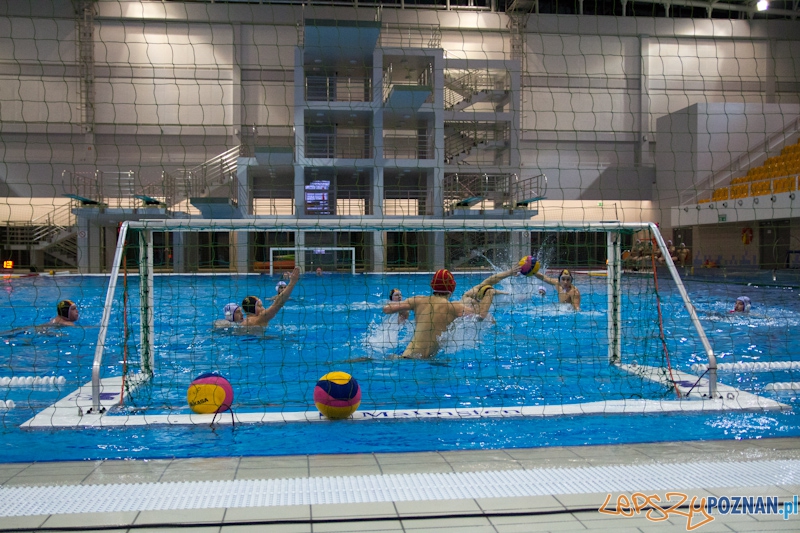 KS Waterpolo Poznań - UKPW Warszawa - Termy Maltańskie 13.01.2012 r. Foto: lepszyPOZNAN.pl / Piotr Rychter KS Waterpolo Poznań - UKPW Warszawa - Termy Maltańskie 13.01.2012 r. Foto: lepszyPOZNAN.pl / Piotr Rychter