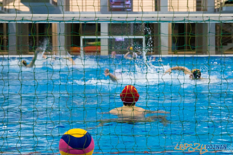 KS Waterpolo Poznań - UKPW Warszawa - Termy Maltańskie 13.01.2012 r. Foto: lepszyPOZNAN.pl / Piotr Rychter KS Waterpolo Poznań - UKPW Warszawa - Termy Maltańskie 13.01.2012 r. Foto: lepszyPOZNAN.pl / Piotr Rychter