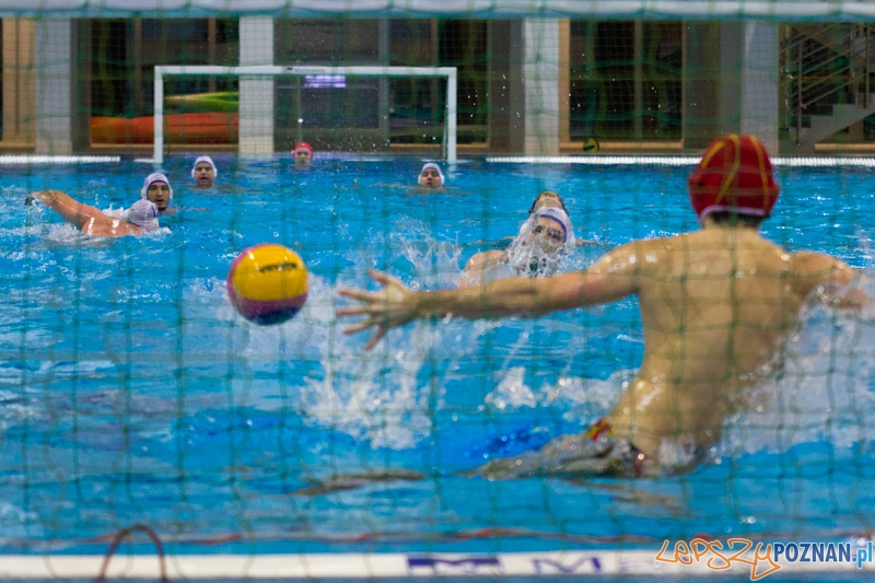 KS Waterpolo Poznań - UKPW Warszawa - Termy Maltańskie 13.01.2012 r. Foto: lepszyPOZNAN.pl / Piotr Rychter KS Waterpolo Poznań - UKPW Warszawa - Termy Maltańskie 13.01.2012 r. Foto: lepszyPOZNAN.pl / Piotr Rychter