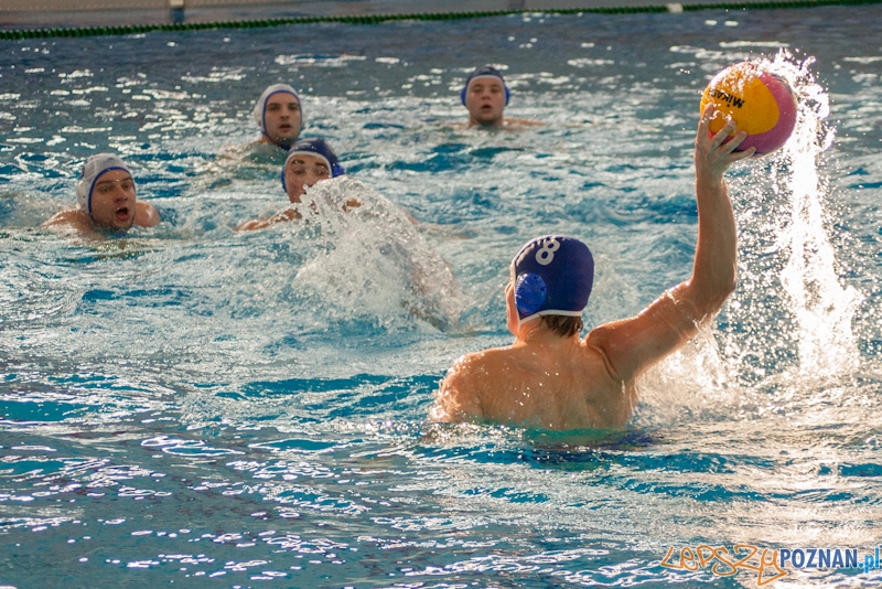 KS Waterpolo Poznań - Gorzowski Klub Piłki Wodnej 19:18 Foto: LepszyPOZNAN.pl / Paweł Rychter KS Waterpolo Poznań - Gorzowski Klub Piłki Wodnej 19:18 Foto: LepszyPOZNAN.pl / Paweł Rychter
