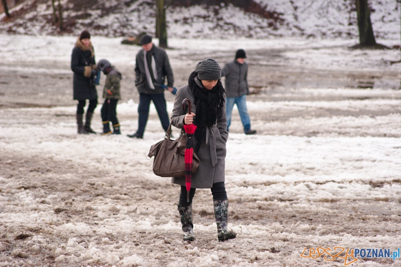 Bitwa o Poznań na Cytadeli Foto: LepszyPOZNAN.pl / Paweł Rychter Bitwa o Poznań na Cytadeli Foto: LepszyPOZNAN.pl / Paweł Rychter