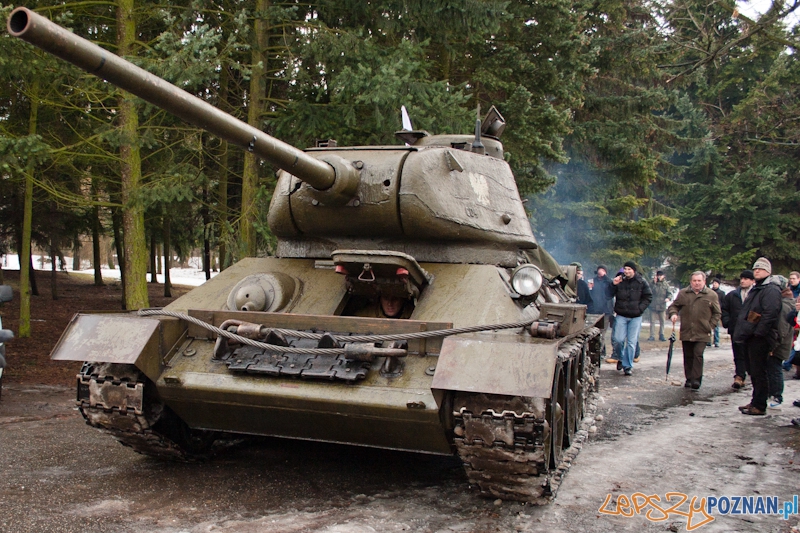 Bitwa o Poznań na Cytadeli Foto: LepszyPOZNAN.pl / Paweł Rychter Bitwa o Poznań na Cytadeli Foto: LepszyPOZNAN.pl / Paweł Rychter