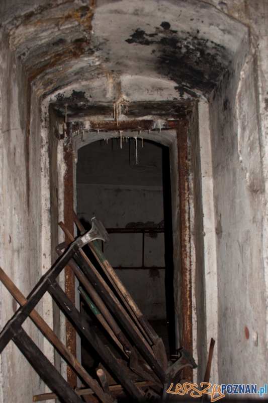 Bitwa o Poznań na Cytadeli Foto: LepszyPOZNAN.pl / Paweł Rychter Bitwa o Poznań na Cytadeli Foto: LepszyPOZNAN.pl / Paweł Rychter