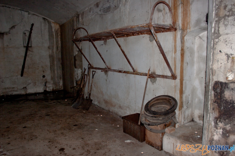 Bitwa o Poznań na Cytadeli Foto: LepszyPOZNAN.pl / Paweł Rychter Bitwa o Poznań na Cytadeli Foto: LepszyPOZNAN.pl / Paweł Rychter