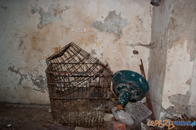 Bitwa o Poznań na Cytadeli Foto: LepszyPOZNAN.pl / Paweł Rychter Bitwa o Poznań na Cytadeli Foto: LepszyPOZNAN.pl / Paweł Rychter