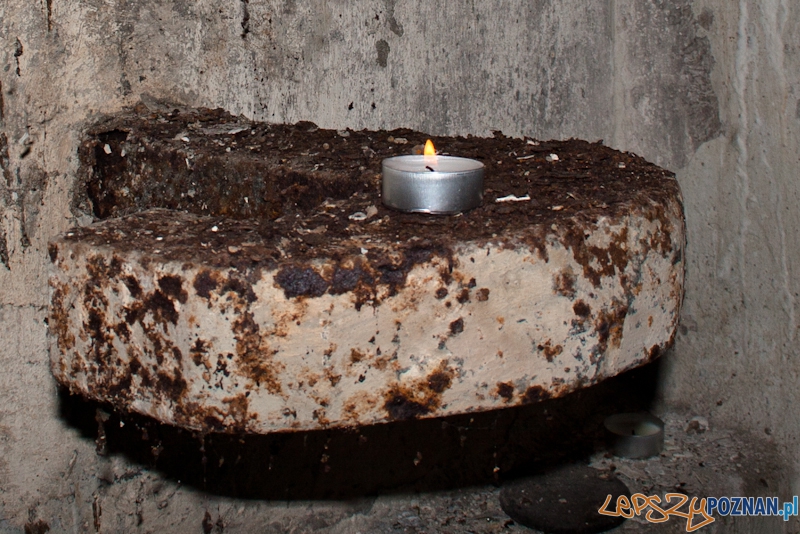 Bitwa o Poznań na Cytadeli Foto: LepszyPOZNAN.pl / Paweł Rychter Bitwa o Poznań na Cytadeli Foto: LepszyPOZNAN.pl / Paweł Rychter