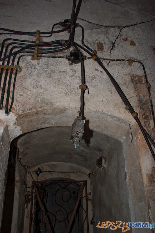 Bitwa o Poznań na Cytadeli Foto: LepszyPOZNAN.pl / Paweł Rychter Bitwa o Poznań na Cytadeli Foto: LepszyPOZNAN.pl / Paweł Rychter