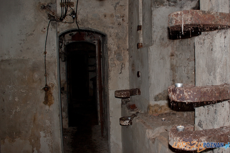 Bitwa o Poznań na Cytadeli Foto: LepszyPOZNAN.pl / Paweł Rychter Bitwa o Poznań na Cytadeli Foto: LepszyPOZNAN.pl / Paweł Rychter