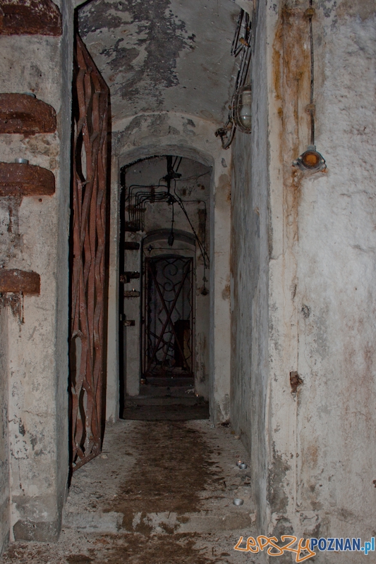 Bitwa o Poznań na Cytadeli Foto: LepszyPOZNAN.pl / Paweł Rychter Bitwa o Poznań na Cytadeli Foto: LepszyPOZNAN.pl / Paweł Rychter