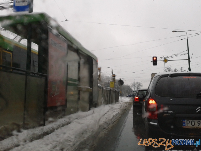 Śnieżny Poznań Foto: lepszyPOZNAN.pl / pr gsm Śnieżny Poznań Foto: lepszyPOZNAN.pl / pr gsm