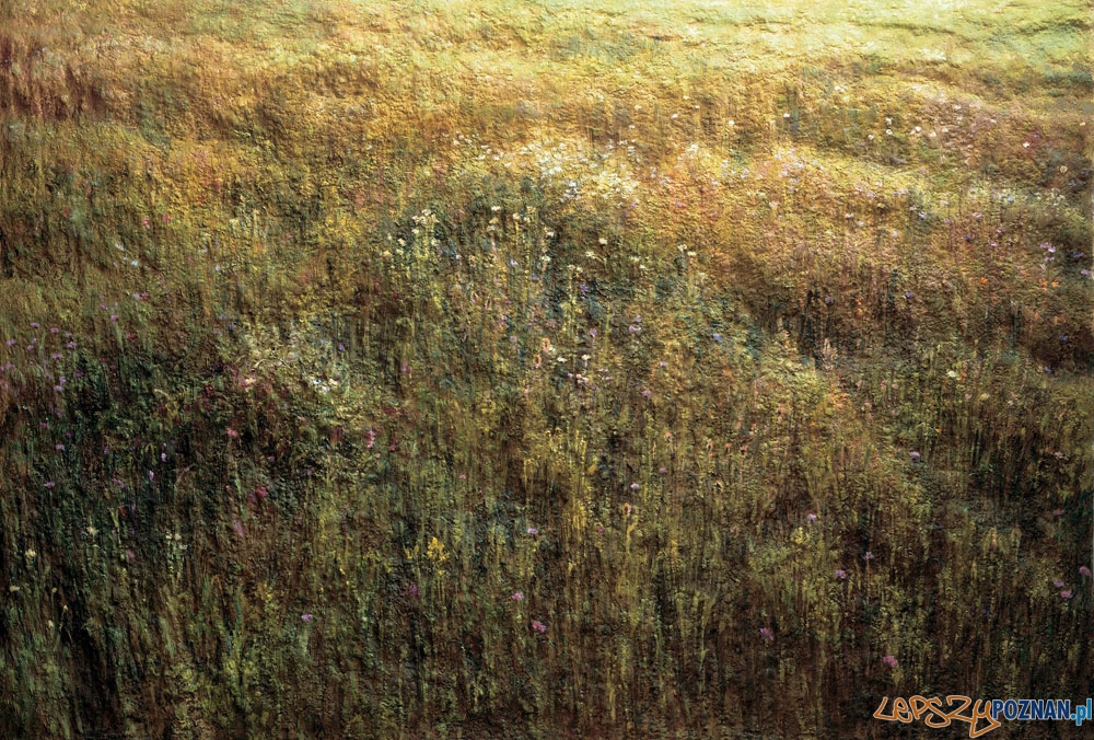 Andrzej Okińczyc, Łąka, 200, technika własna, relief, akryl, 172 × 247,5 cm Foto: Muzeum Narodowe w Poznaniu Andrzej Okińczyc, Łąka, 200, technika własna, relief, akryl, 172 × 247,5 cm Foto: Muzeum Narodowe w Poznaniu