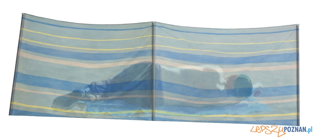 Andrzej Okińczyc, Parawan 9, 2008, akryl, 80 × 217 cm Foto: Muzeum Narodowe w Poznaniu Andrzej Okińczyc, Parawan 9, 2008, akryl, 80 × 217 cm Foto: Muzeum Narodowe w Poznaniu