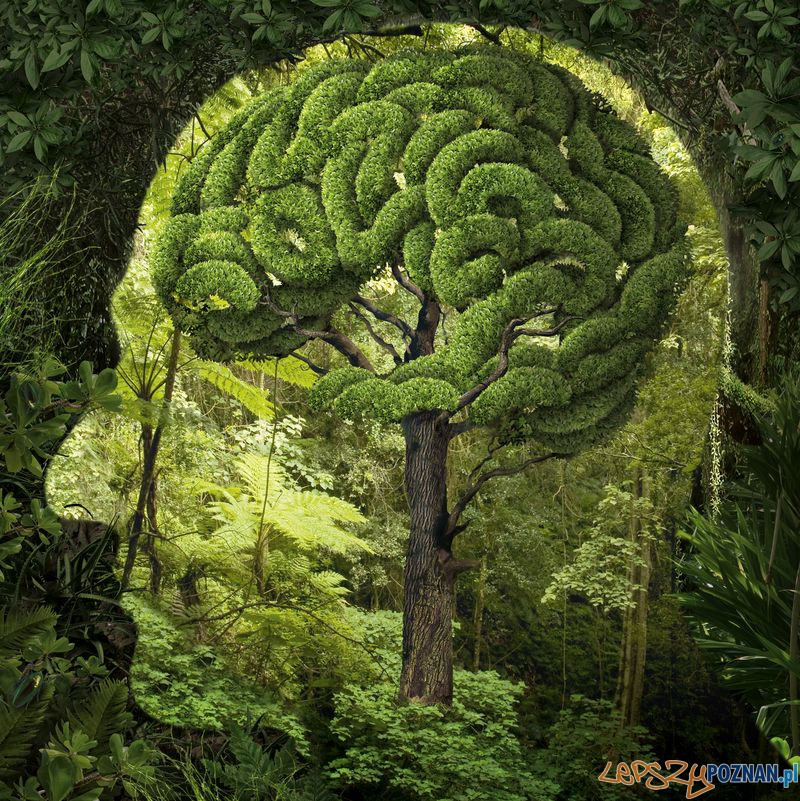 Imaginarium Morskiego (2) Foto: Imaginarium Morskiego (2) Foto: