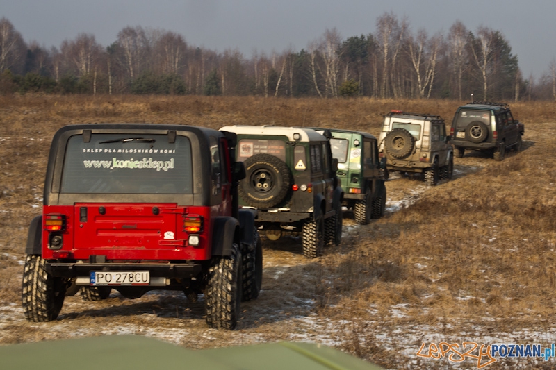 Awangarda na rajdzie terenowym - Biedrusko 4.02.2012 r. Foto: lepszyPOZNAN.pl / Piotr Rychter Awangarda na rajdzie terenowym - Biedrusko 4.02.2012 r. Foto: lepszyPOZNAN.pl / Piotr Rychter