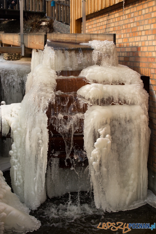 Awangarda na rajdzie terenowym - Biedrusko 4.02.2012 r. Foto: lepszyPOZNAN.pl / Piotr Rychter Awangarda na rajdzie terenowym - Biedrusko 4.02.2012 r. Foto: lepszyPOZNAN.pl / Piotr Rychter