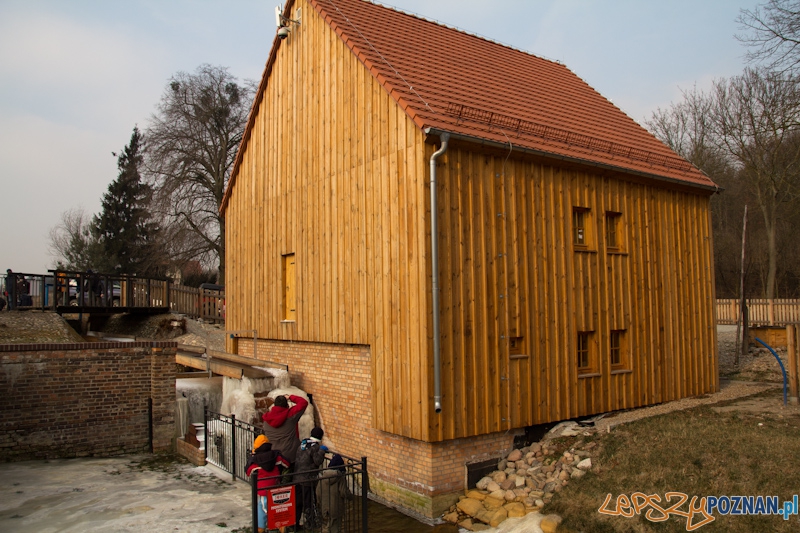 Awangarda na rajdzie terenowym - Biedrusko 4.02.2012 r. Foto: lepszyPOZNAN.pl / Piotr Rychter Awangarda na rajdzie terenowym - Biedrusko 4.02.2012 r. Foto: lepszyPOZNAN.pl / Piotr Rychter