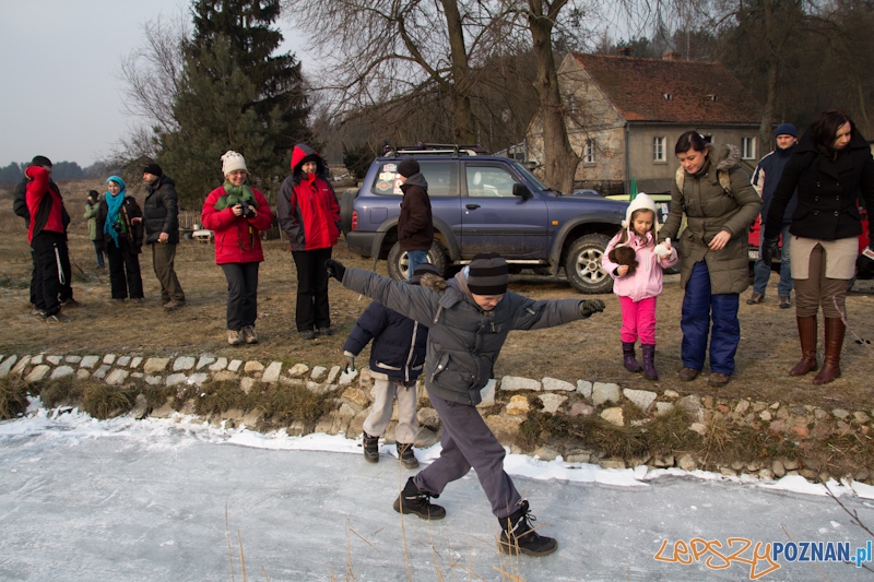 Awangarda na rajdzie terenowym - Biedrusko 4.02.2012 r. Foto: lepszyPOZNAN.pl / Piotr Rychter Awangarda na rajdzie terenowym - Biedrusko 4.02.2012 r. Foto: lepszyPOZNAN.pl / Piotr Rychter