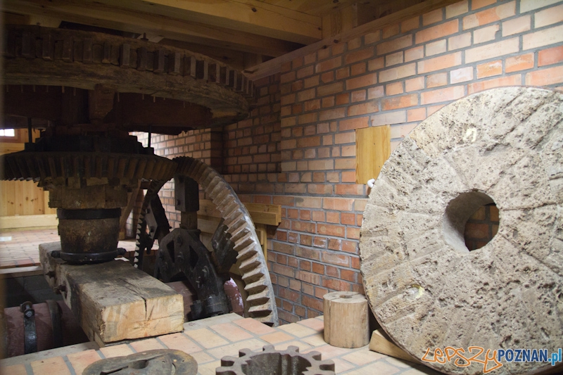 Awangarda na rajdzie terenowym - Biedrusko 4.02.2012 r. Foto: lepszyPOZNAN.pl / Piotr Rychter Awangarda na rajdzie terenowym - Biedrusko 4.02.2012 r. Foto: lepszyPOZNAN.pl / Piotr Rychter