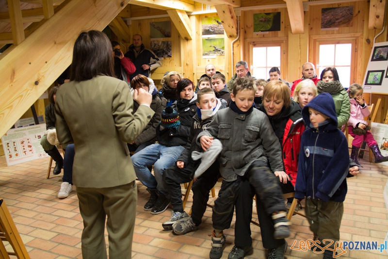 Awangarda na rajdzie terenowym - Biedrusko 4.02.2012 r. Foto: lepszyPOZNAN.pl / Piotr Rychter Awangarda na rajdzie terenowym - Biedrusko 4.02.2012 r. Foto: lepszyPOZNAN.pl / Piotr Rychter