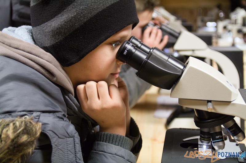 Awangarda na rajdzie terenowym - Biedrusko 4.02.2012 r. Foto: lepszyPOZNAN.pl / Piotr Rychter Awangarda na rajdzie terenowym - Biedrusko 4.02.2012 r. Foto: lepszyPOZNAN.pl / Piotr Rychter