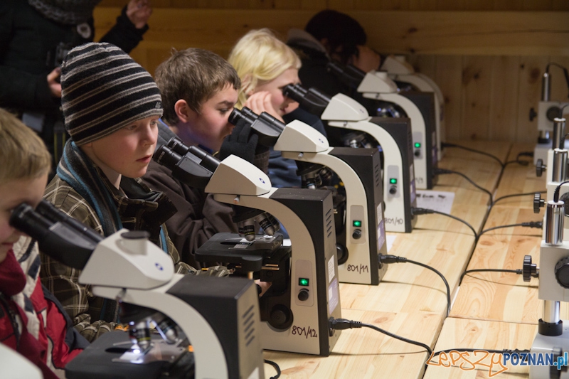 Awangarda na rajdzie terenowym - Biedrusko 4.02.2012 r. Foto: lepszyPOZNAN.pl / Piotr Rychter Awangarda na rajdzie terenowym - Biedrusko 4.02.2012 r. Foto: lepszyPOZNAN.pl / Piotr Rychter