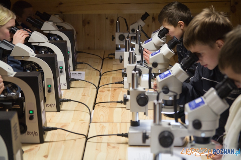 Awangarda na rajdzie terenowym - Biedrusko 4.02.2012 r. Foto: lepszyPOZNAN.pl / Piotr Rychter Awangarda na rajdzie terenowym - Biedrusko 4.02.2012 r. Foto: lepszyPOZNAN.pl / Piotr Rychter