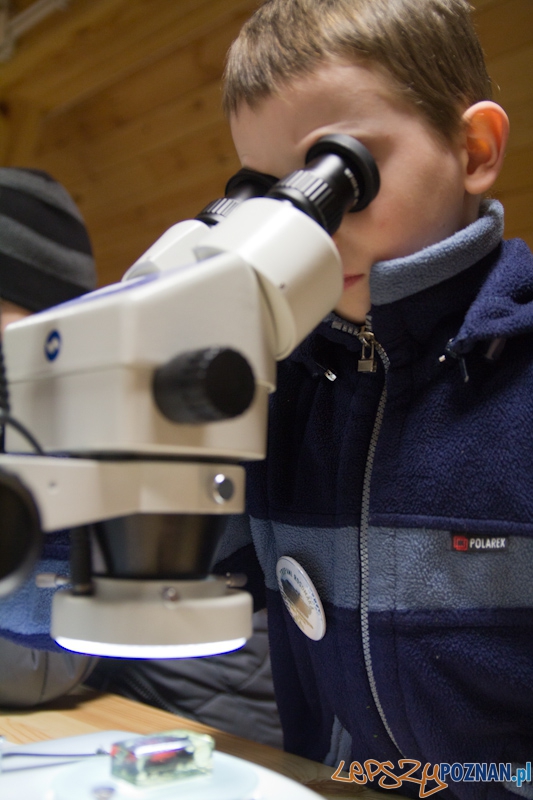 Awangarda na rajdzie terenowym - Biedrusko 4.02.2012 r. Foto: lepszyPOZNAN.pl / Piotr Rychter Awangarda na rajdzie terenowym - Biedrusko 4.02.2012 r. Foto: lepszyPOZNAN.pl / Piotr Rychter