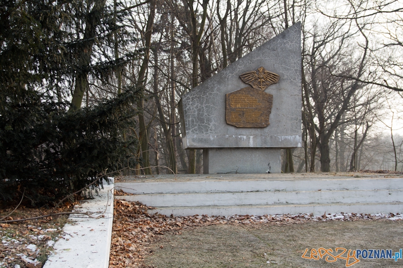 Awangarda na rajdzie terenowym - Biedrusko 4.02.2012 r. Foto: lepszyPOZNAN.pl / Piotr Rychter Awangarda na rajdzie terenowym - Biedrusko 4.02.2012 r. Foto: lepszyPOZNAN.pl / Piotr Rychter