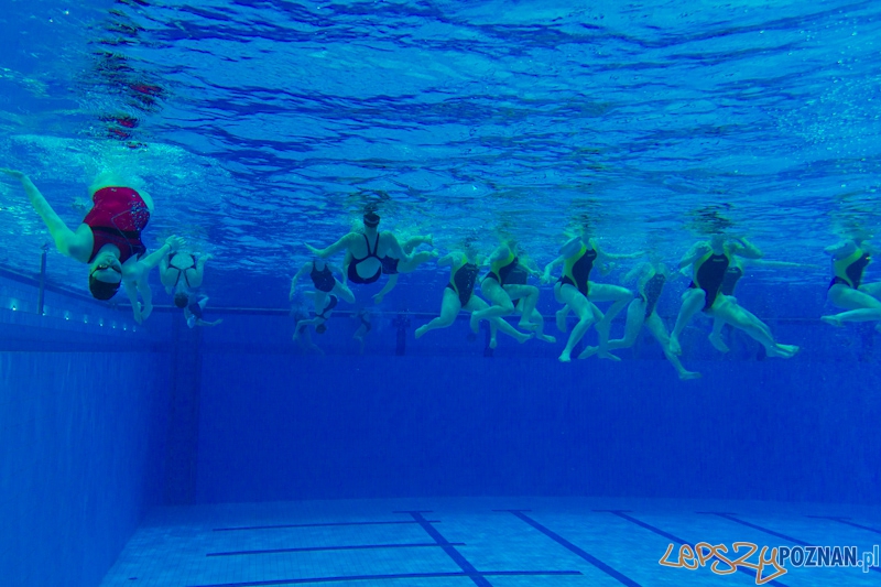 Poznań Synchro Cup 2012 Foto: lepszyPOZNAN.pl / Piotr Rychter Poznań Synchro Cup 2012 Foto: lepszyPOZNAN.pl / Piotr Rychter