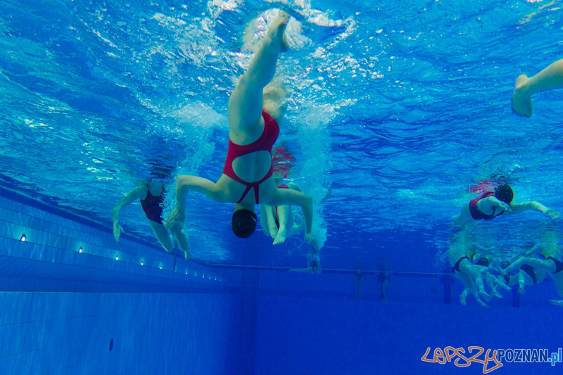 Poznań Synchro Cup 2012 Foto: lepszyPOZNAN.pl / Piotr Rychter Poznań Synchro Cup 2012 Foto: lepszyPOZNAN.pl / Piotr Rychter