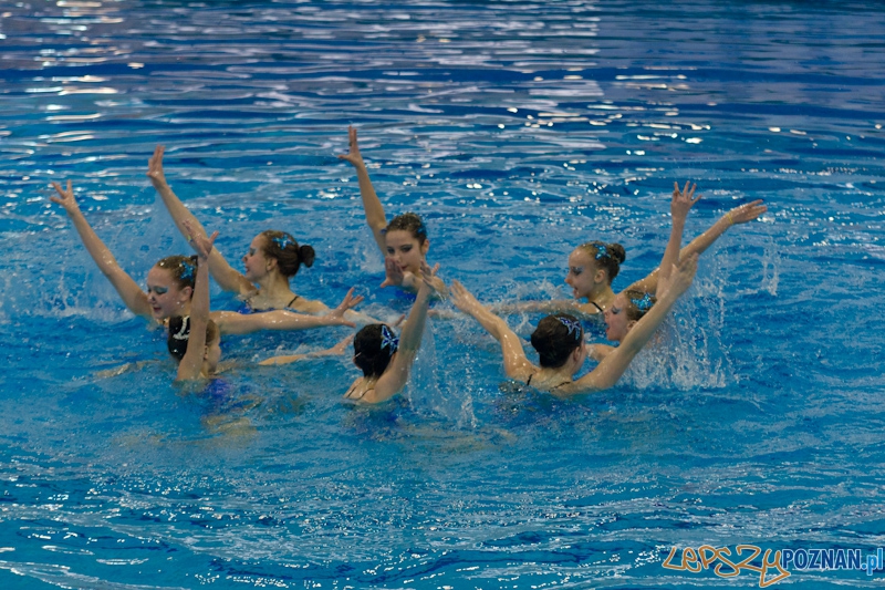 Poznań Synchro Cup 2012 Foto: lepszyPOZNAN.pl / Piotr Rychter Poznań Synchro Cup 2012 Foto: lepszyPOZNAN.pl / Piotr Rychter