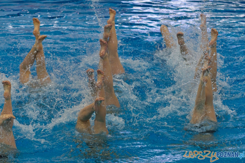 Poznań Synchro Cup 2012 Foto: lepszyPOZNAN.pl / Piotr Rychter Poznań Synchro Cup 2012 Foto: lepszyPOZNAN.pl / Piotr Rychter