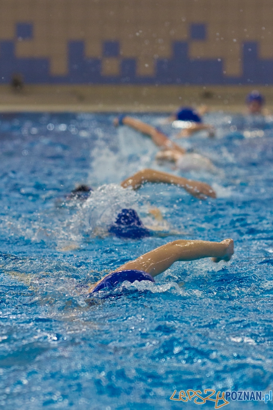 Poznań Synchro Cup 2012 Foto: lepszyPOZNAN.pl / Piotr Rychter Poznań Synchro Cup 2012 Foto: lepszyPOZNAN.pl / Piotr Rychter