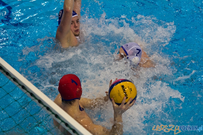 Mecz Waterpolo Foto: lepszyPOZNAN.pl / Piotr Rychter Mecz Waterpolo Foto: lepszyPOZNAN.pl / Piotr Rychter
