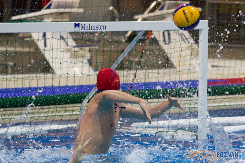 Mecz Waterpolo Foto: lepszyPOZNAN.pl / Piotr Rychter Mecz Waterpolo Foto: lepszyPOZNAN.pl / Piotr Rychter