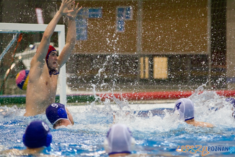 Mecz Waterpolo Foto: lepszyPOZNAN.pl / Piotr Rychter Mecz Waterpolo Foto: lepszyPOZNAN.pl / Piotr Rychter