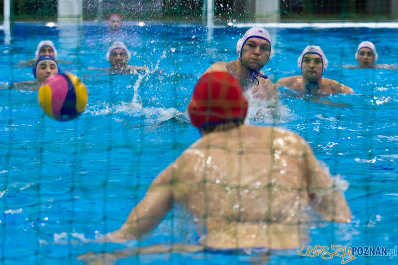Mecz Waterpolo Foto: lepszyPOZNAN.pl / Piotr Rychter Mecz Waterpolo Foto: lepszyPOZNAN.pl / Piotr Rychter