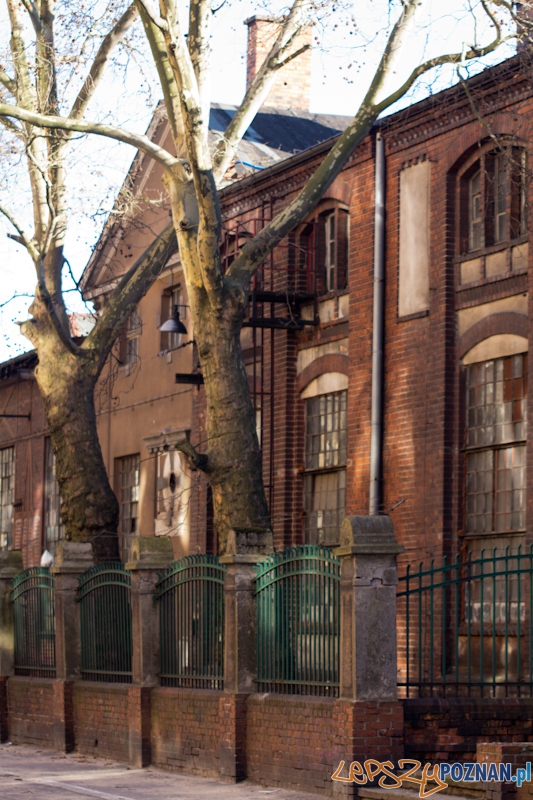 Zajezdznia na Gajowej Foto: lepszyPOZNAN.pl / Piotr Rychter Zajezdznia na Gajowej Foto: lepszyPOZNAN.pl / Piotr Rychter