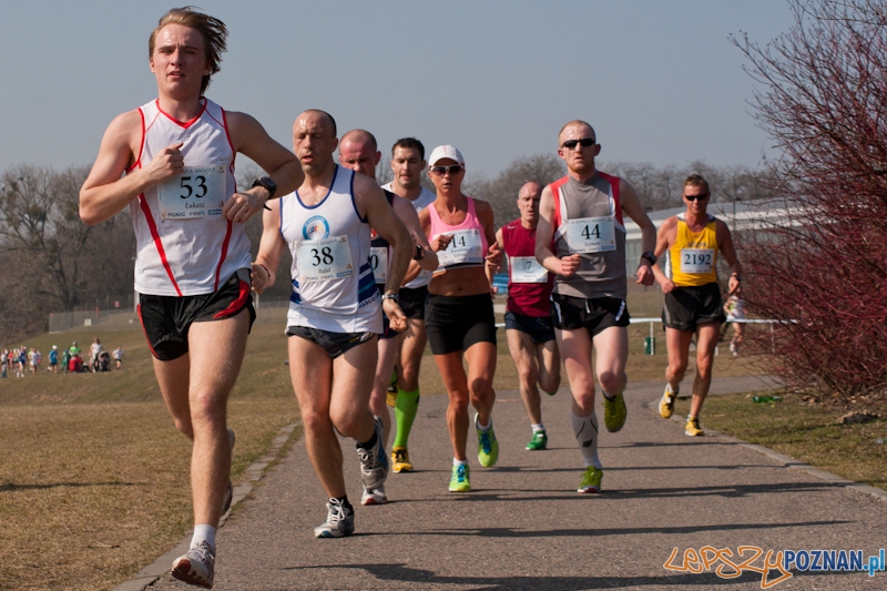8 Maniacka Dziesiąka Foto: LepszyPOZNAN.pl / Paweł Rychter 8 Maniacka Dziesiąka Foto: LepszyPOZNAN.pl / Paweł Rychter