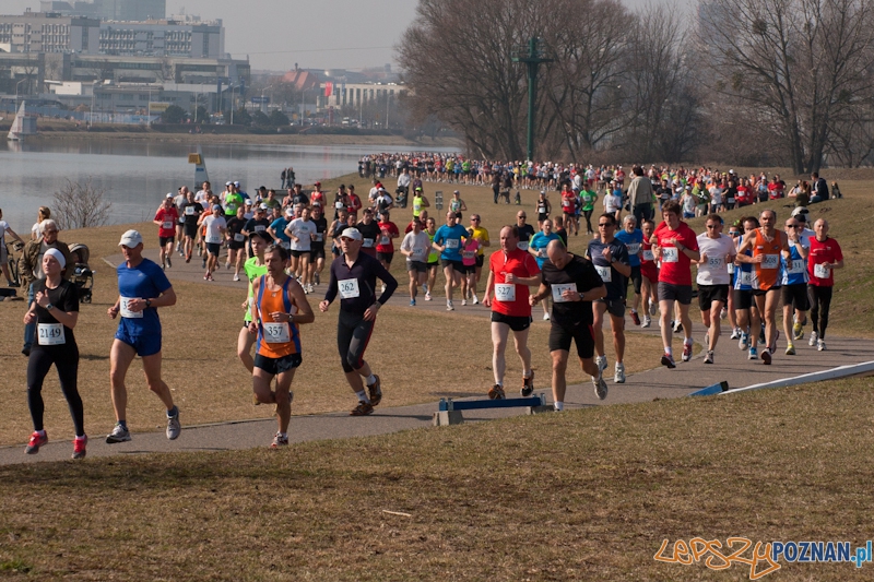 8 Maniacka Dziesiąka Foto: LepszyPOZNAN.pl / Paweł Rychter 8 Maniacka Dziesiąka Foto: LepszyPOZNAN.pl / Paweł Rychter