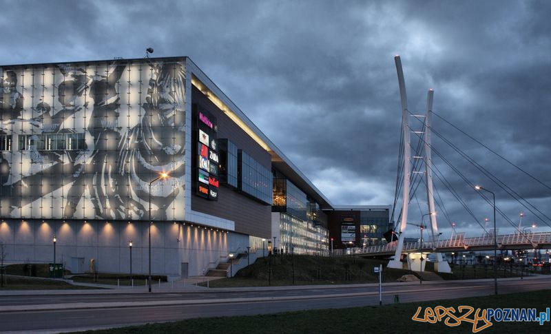 Galeria Malta  Foto: Michał Wrombel (fotoportal.poznan)