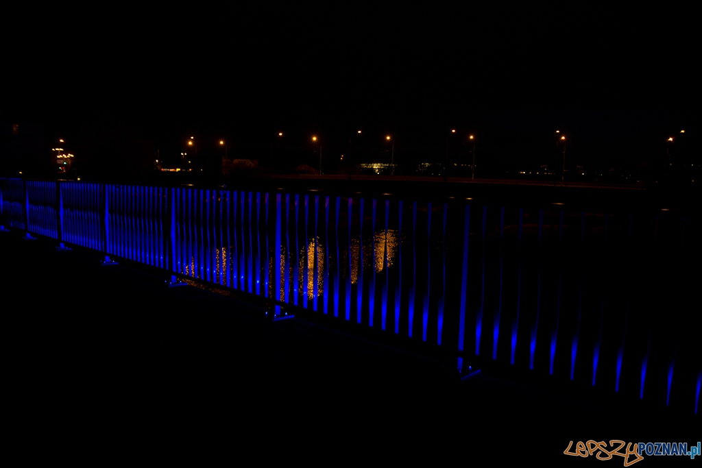 Godzina dla Ziemi 2012 Foto: (c) Anna Bernard Godzina dla Ziemi 2012 Foto: (c) Anna Bernard