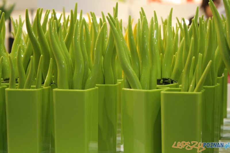 Arena Design 2012 Foto: Ewelina Gutowska Arena Design 2012 Foto: Ewelina Gutowska