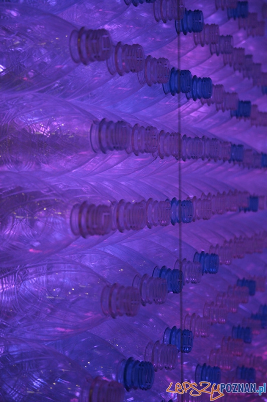 Arena Design 2012 Foto: Ewelina Gutowska Arena Design 2012 Foto: Ewelina Gutowska