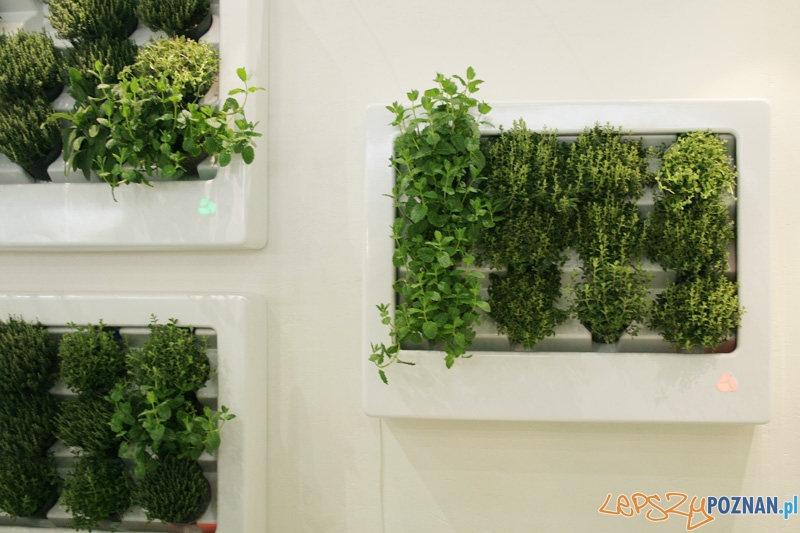 Arena Design 2012 Foto: Ewelina Gutowska Arena Design 2012 Foto: Ewelina Gutowska